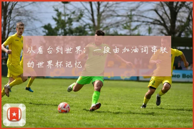 从看台到世界：一段由加油词串联的世界杯记忆