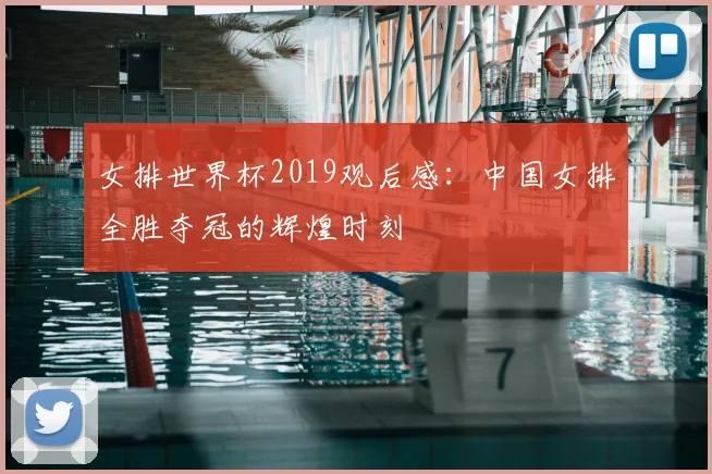 女排世界杯2019观后感:中国女排全胜夺冠的辉煌时刻