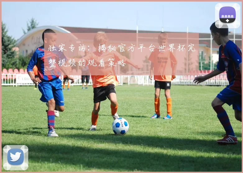 独家专访：揭秘官方平台世界杯完整视频的观看策略