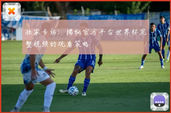 独家专访：揭秘官方平台世界杯完整视频的观看策略